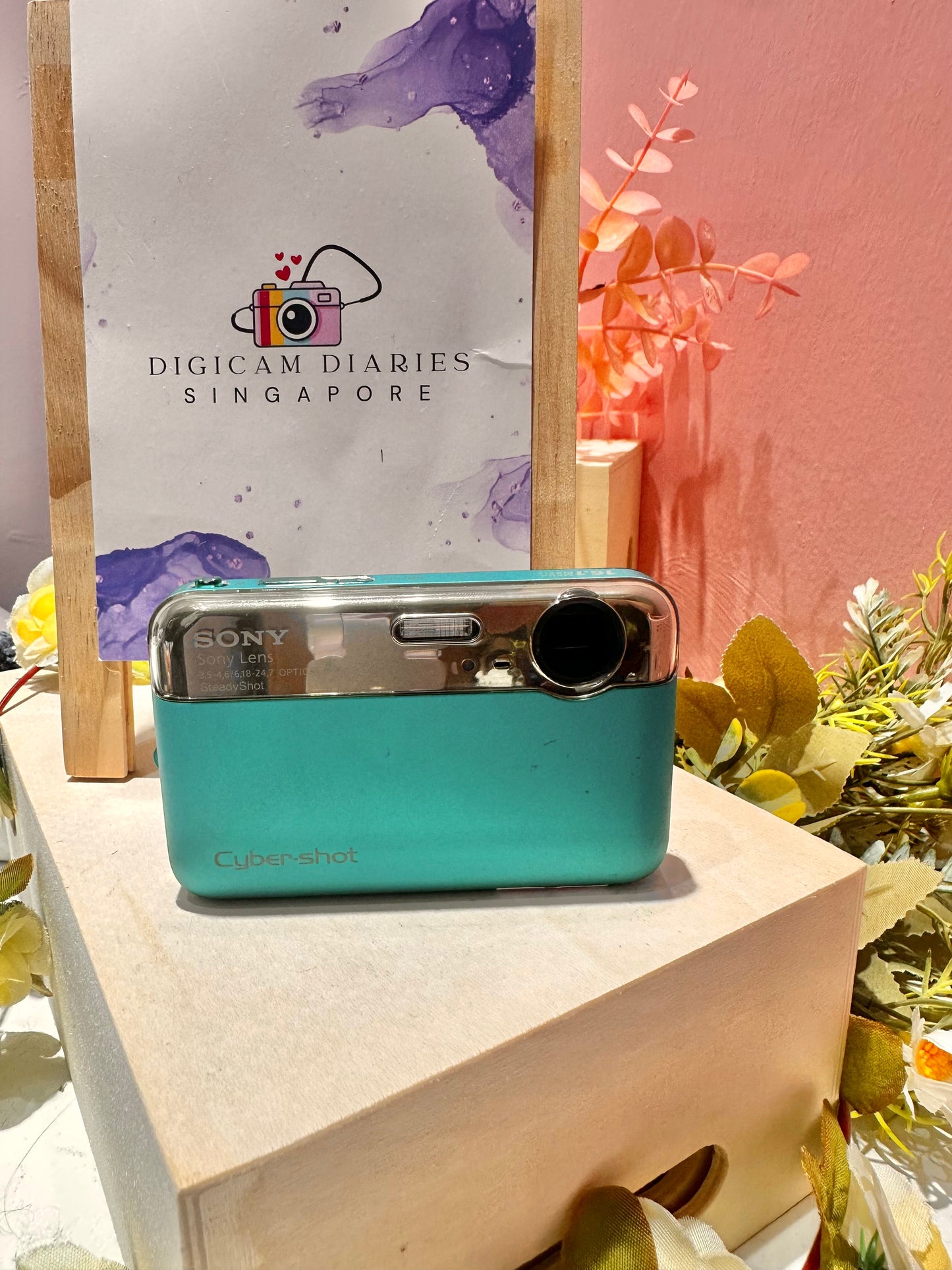 Sony Cybershot J10