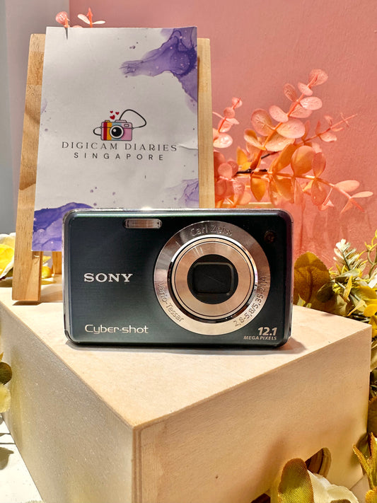 Sony W230