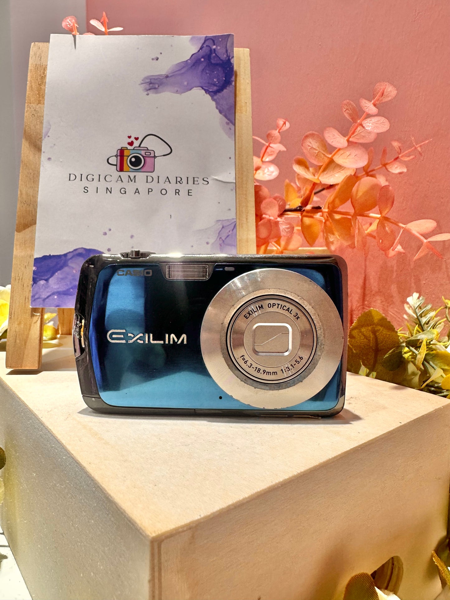 Casio EX-Z1 Blue
