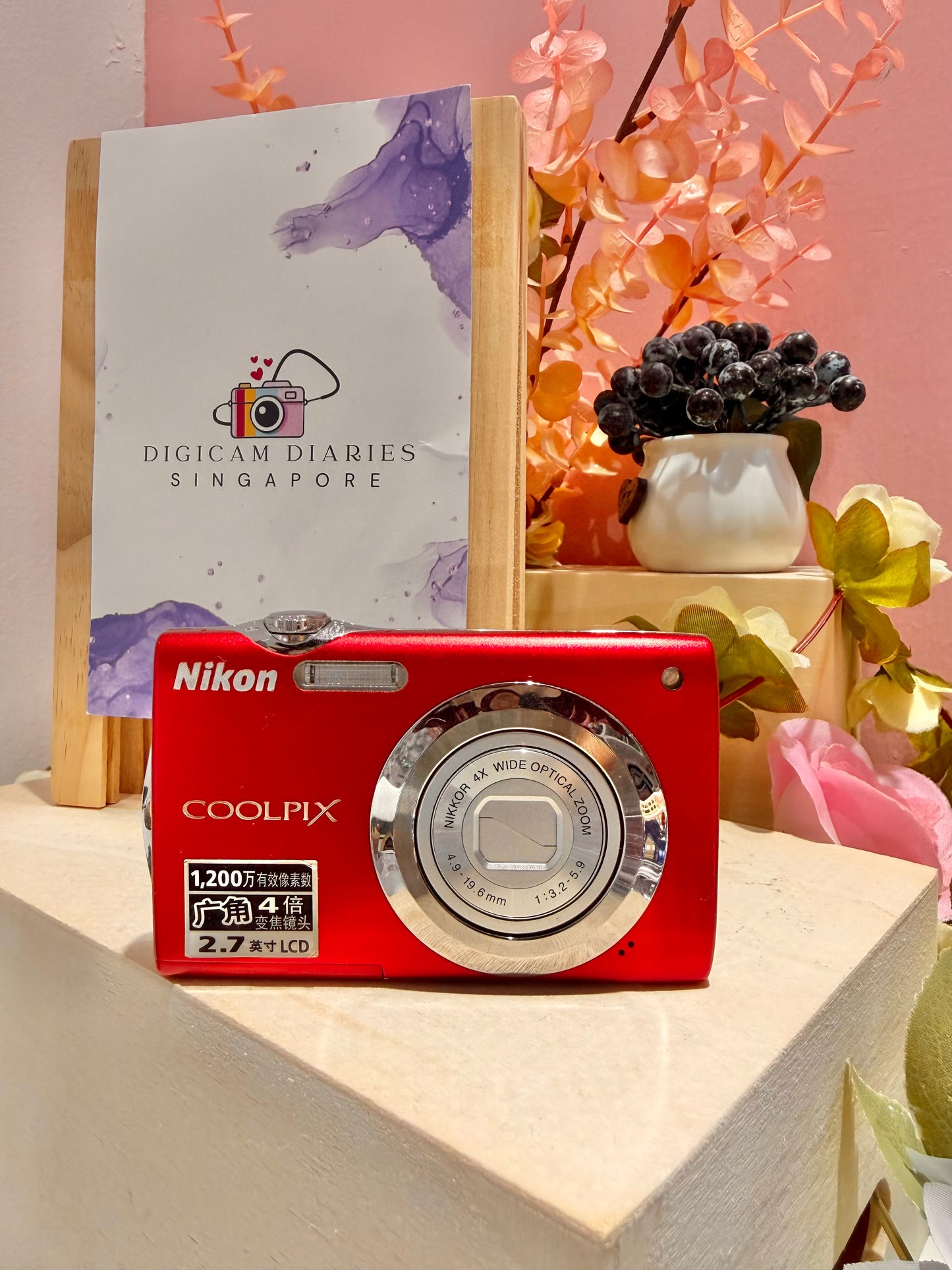 Nikon Coolpix S3000 (TikTok Famous!)