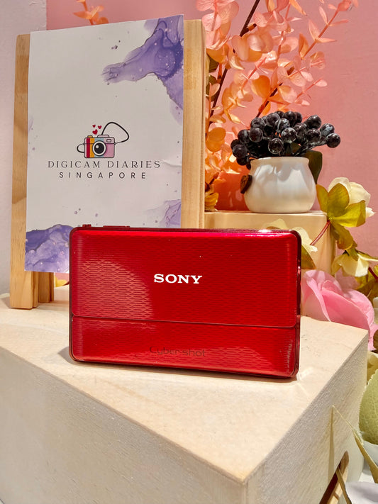 Sony Cybershot TX100 (Japan Vibe!)