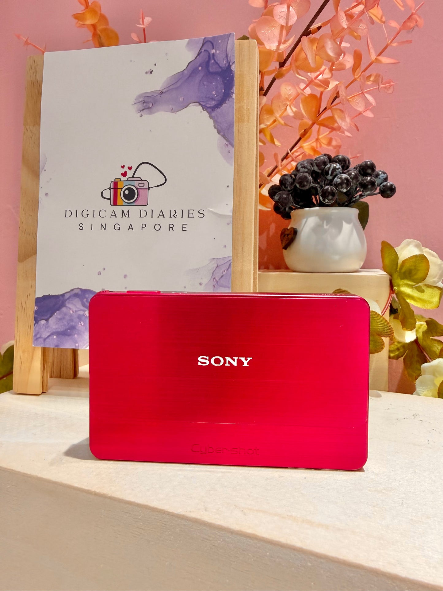 Sony Cybershot T700 (Japanese Vibes!!)