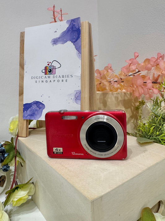 Olympus VG-110