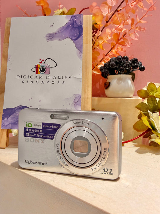 Sony Cybershot W310 (Japanese Retro Vibes)