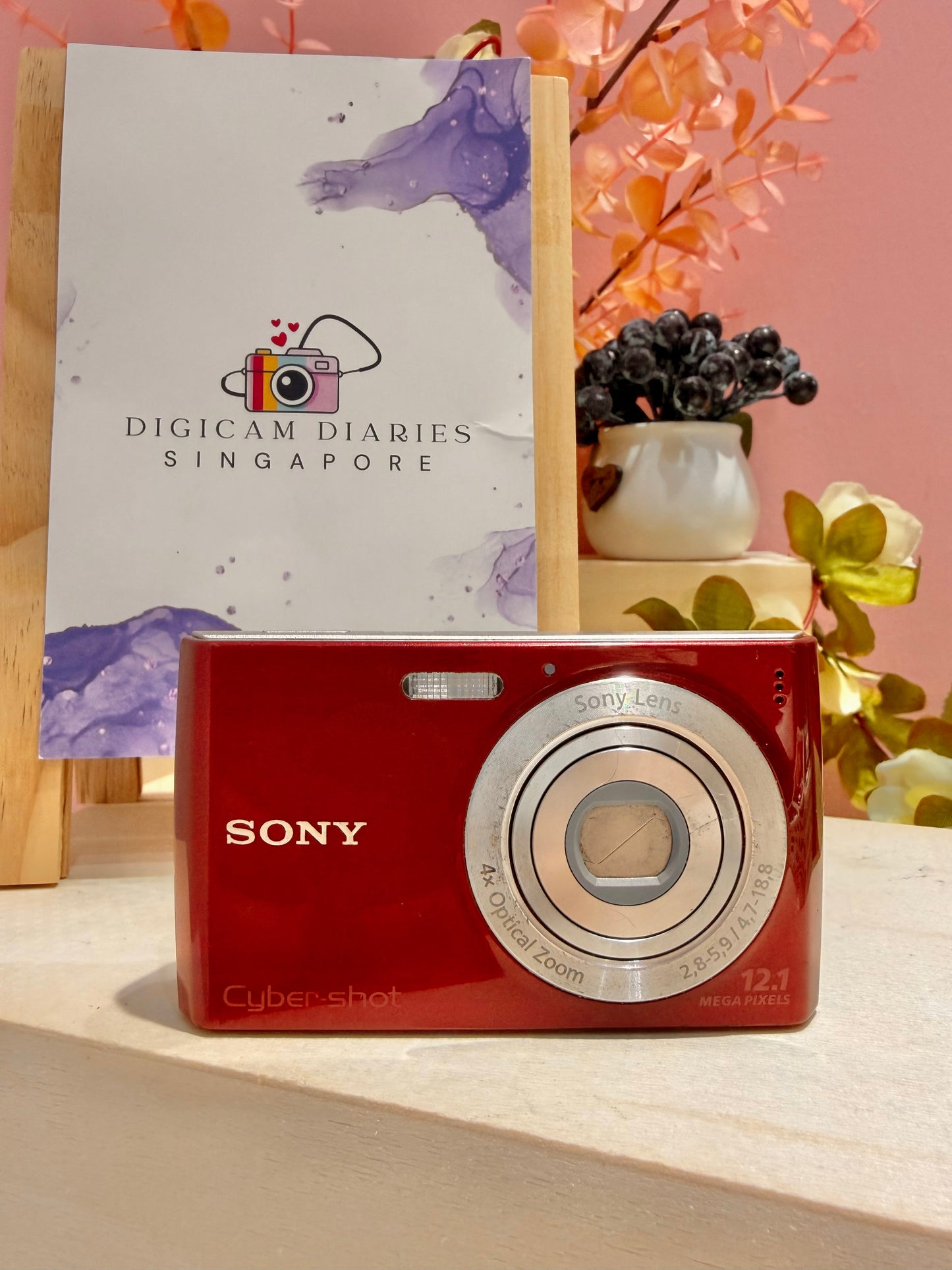 Sony Cybershot W510
