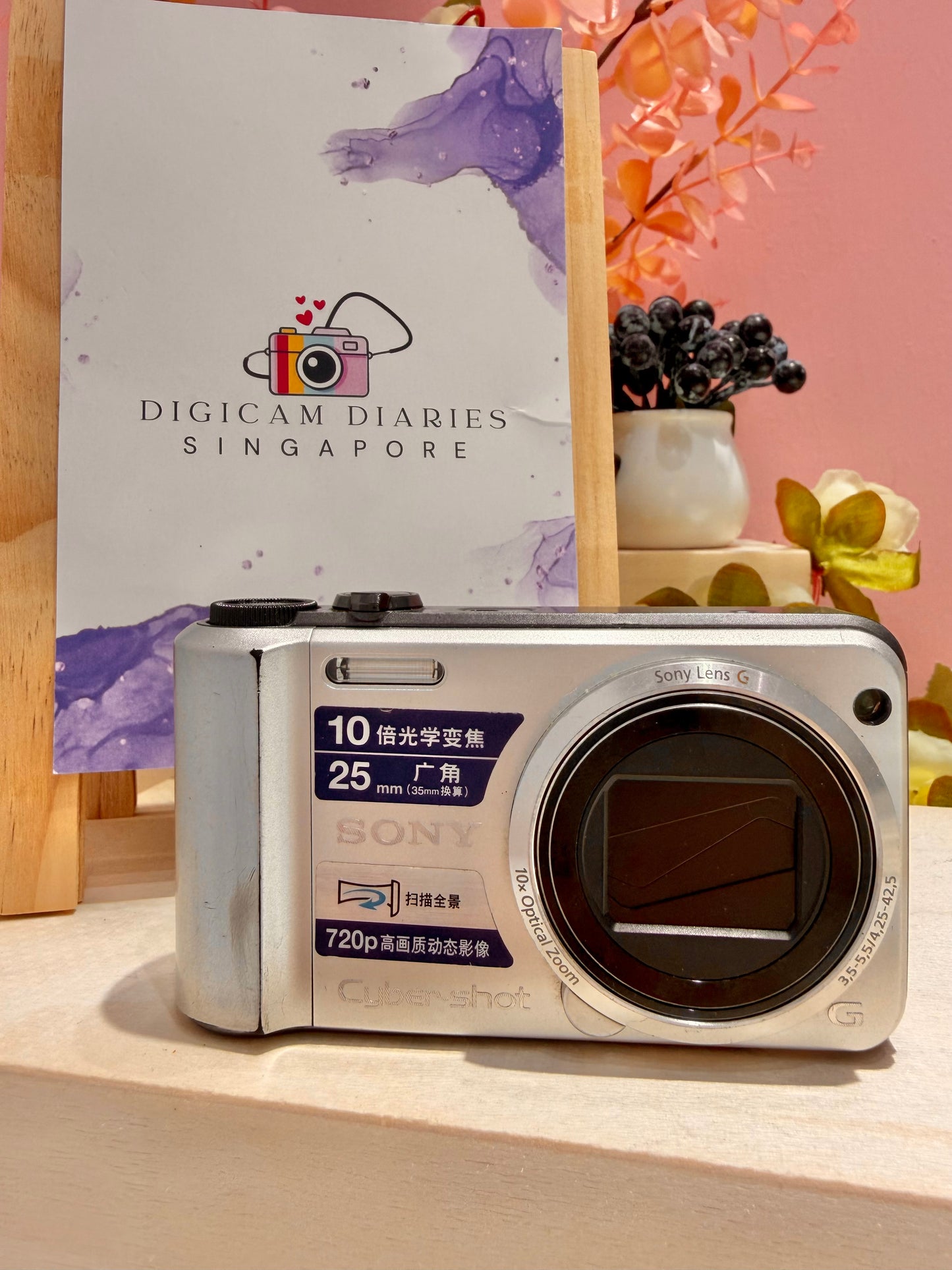 Sony Cybershot H70 (Semi-Pro)