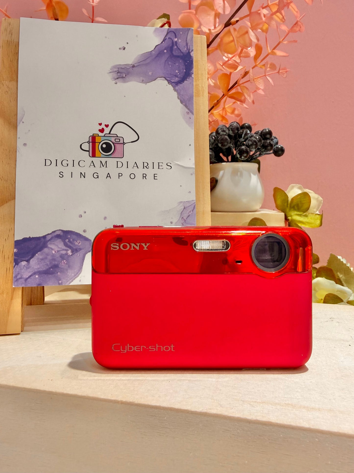 Sony Cybershot J10 (Red)