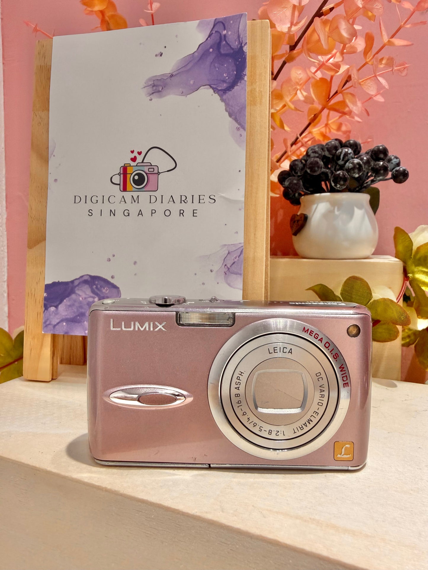 Lumix FX01