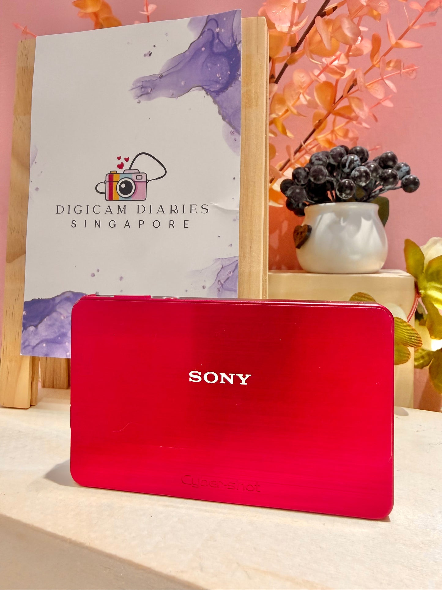 Sony Cybershot T700 (Dreamy Optics!)