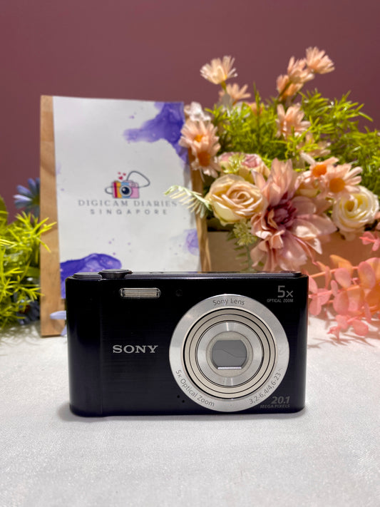 Sony Cybershot DSC-W800