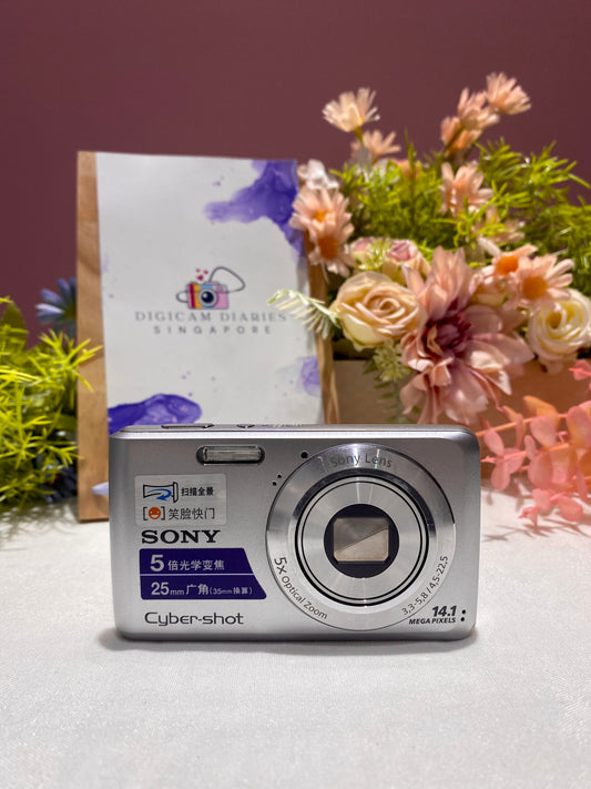 Sony Cybershot DSC-W520