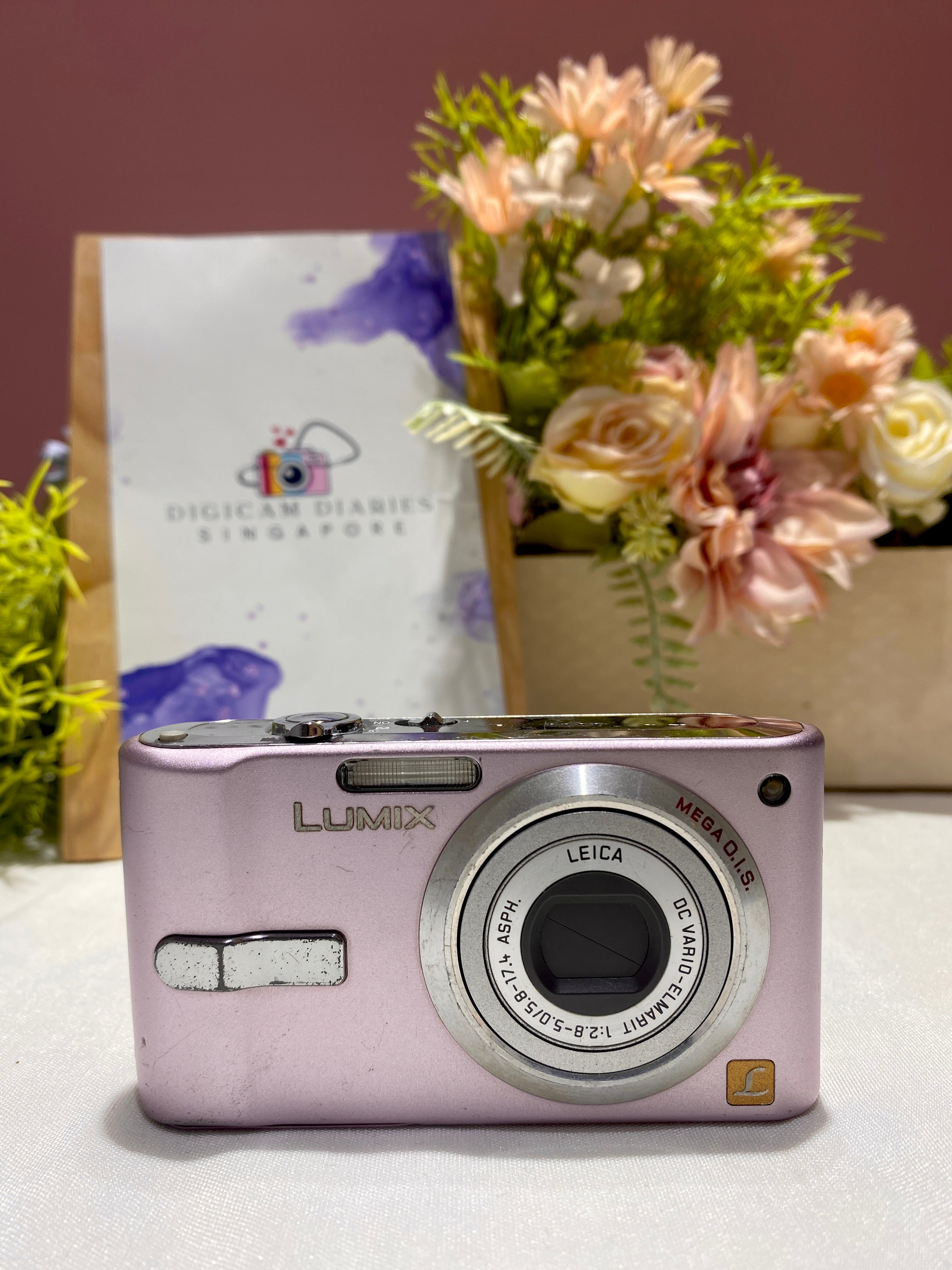 Panasonic Lumix DMC-FS2 – Digicam Diaries