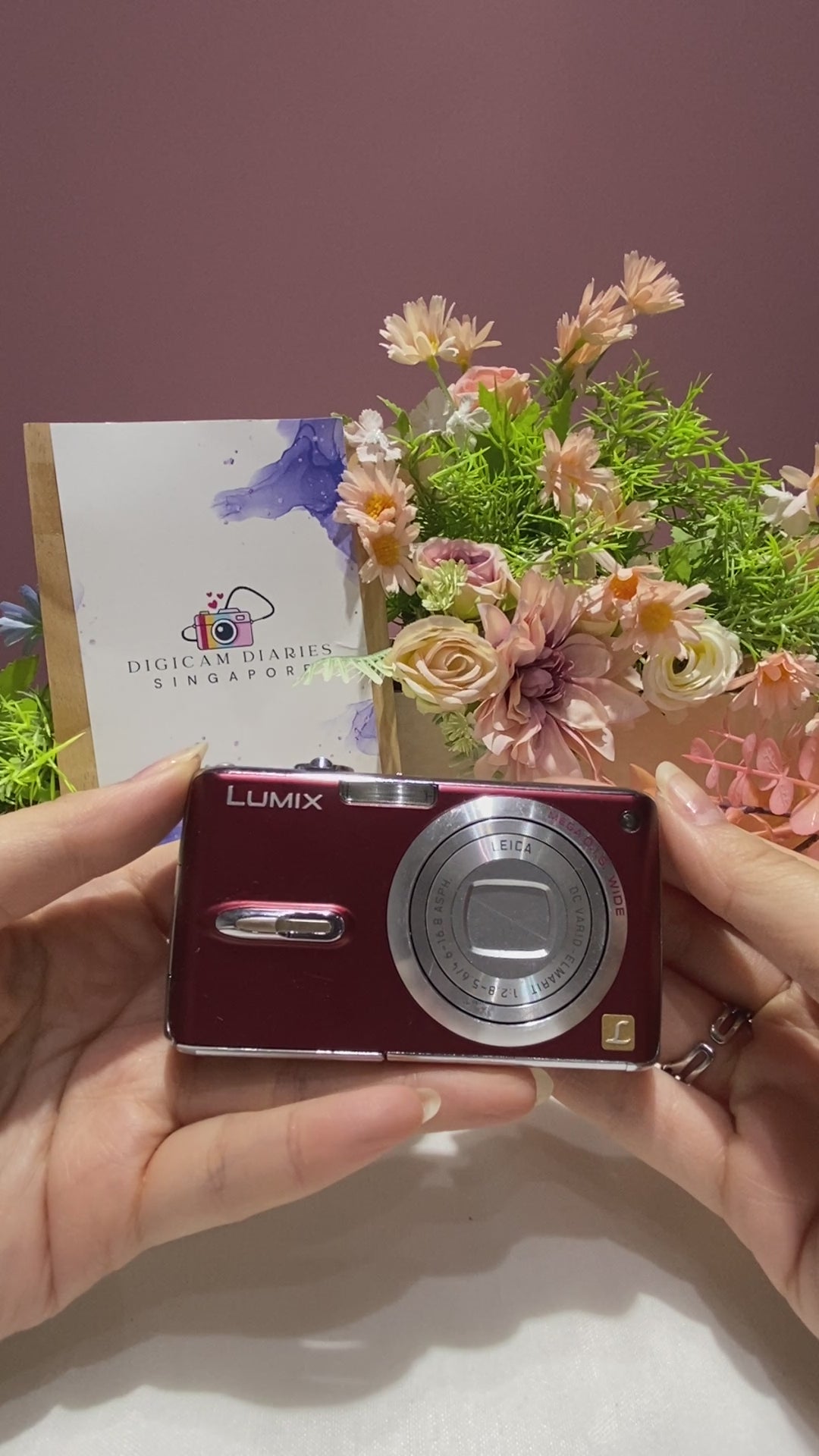 Panasonic Lumix DMC-FX07 – Digicam Diaries