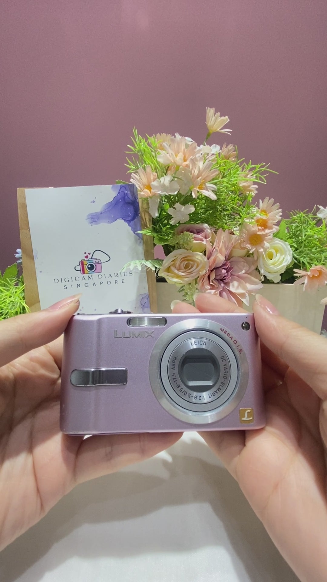 Panasonic Lumix DMC-FS2 – Digicam Diaries