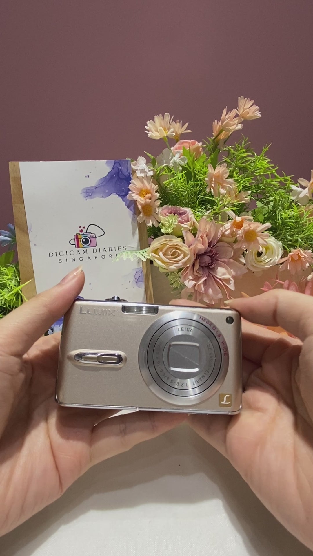 Panasonic Lumix DMC-FX07 – Digicam Diaries